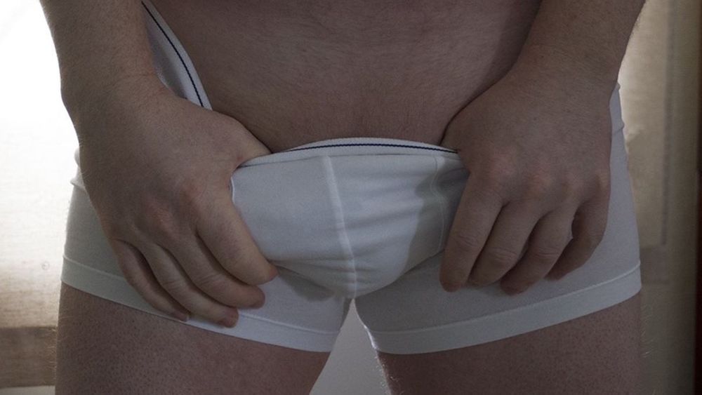 xswedex OnlyFans profile picture
