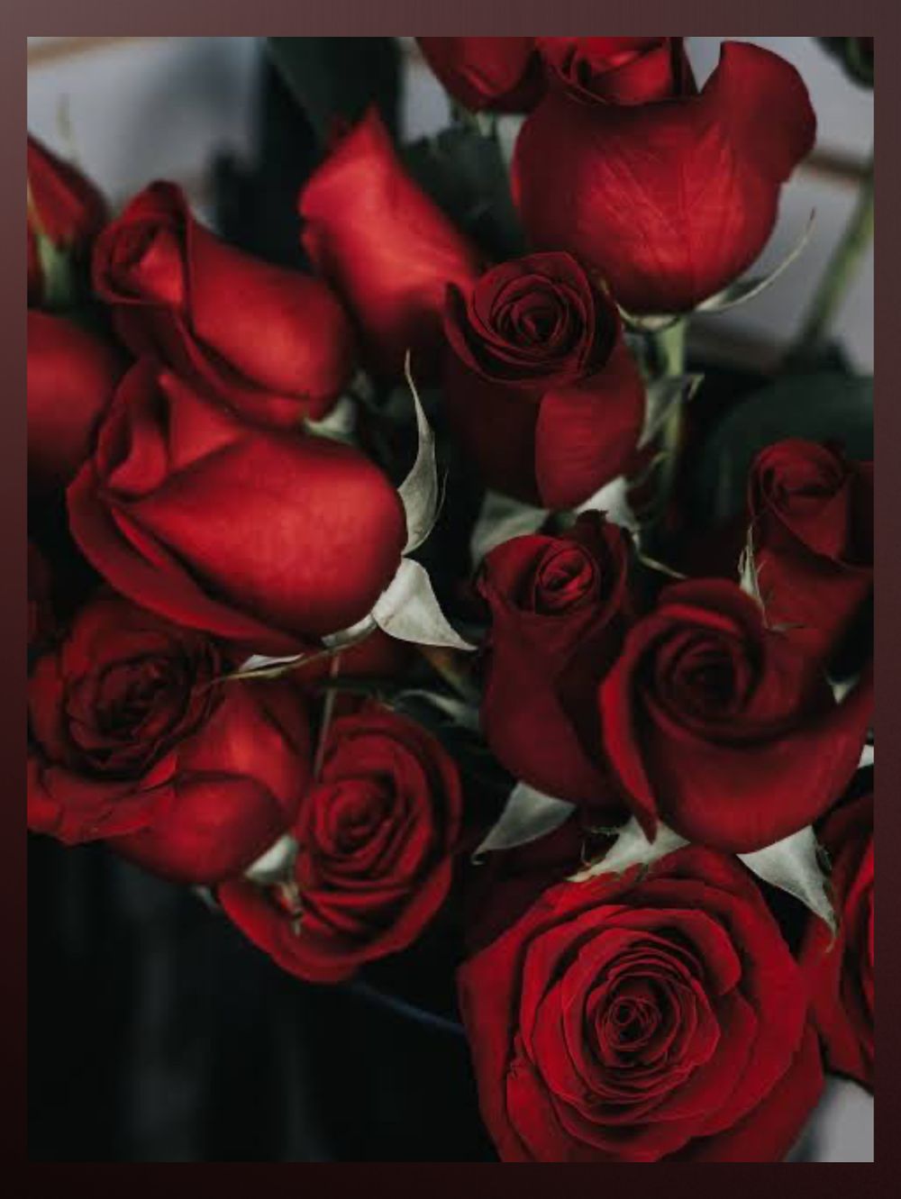 bellabel2398 OnlyFans profile picture