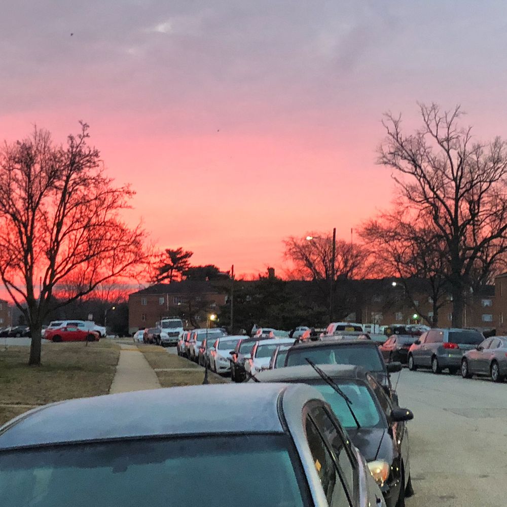 luscioussweetpeach OnlyFans - Stats, Graphs, Photos & Profile