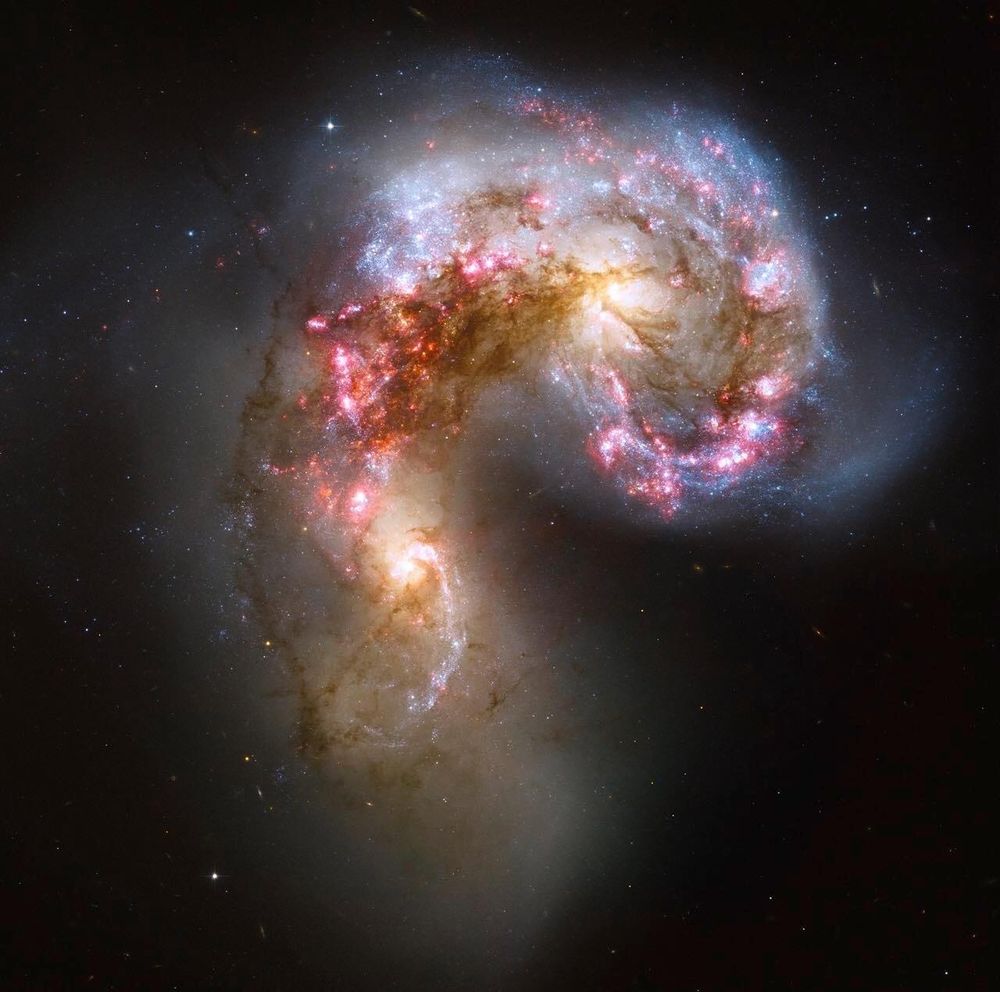 madamcoheed OnlyFans profile picture