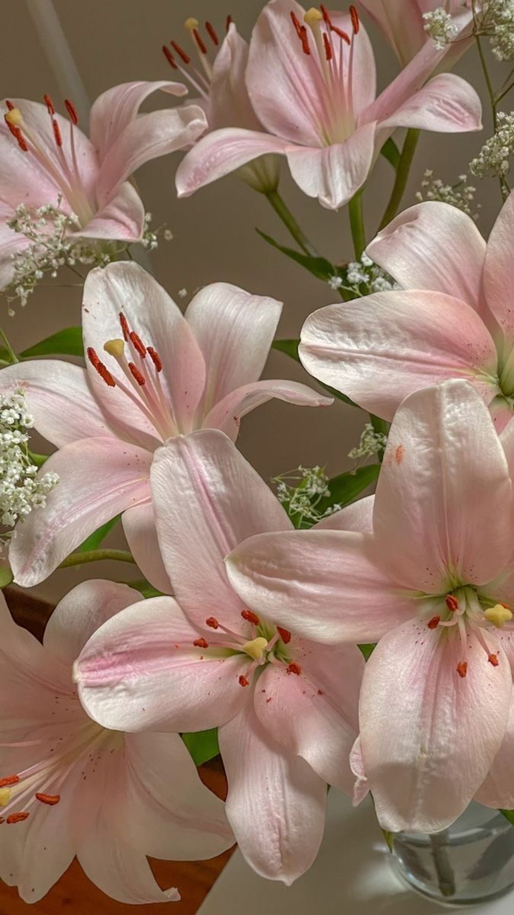 bloominglilium OnlyFans profile picture