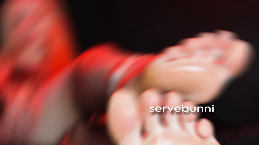 servebunnii OnlyFans profile picture