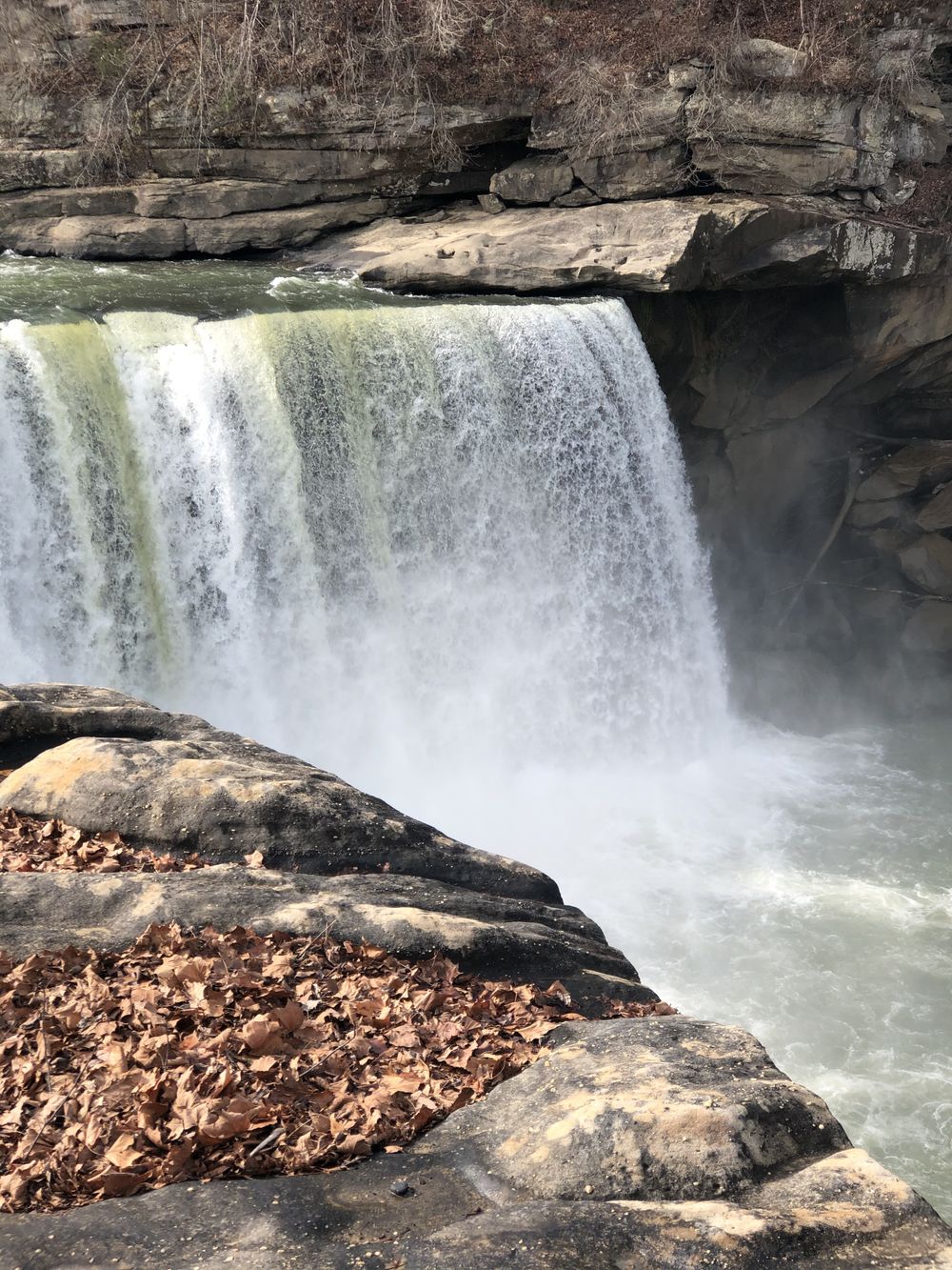 hales @hales.selah OnlyFans Profile. Review, Photos, Statistics