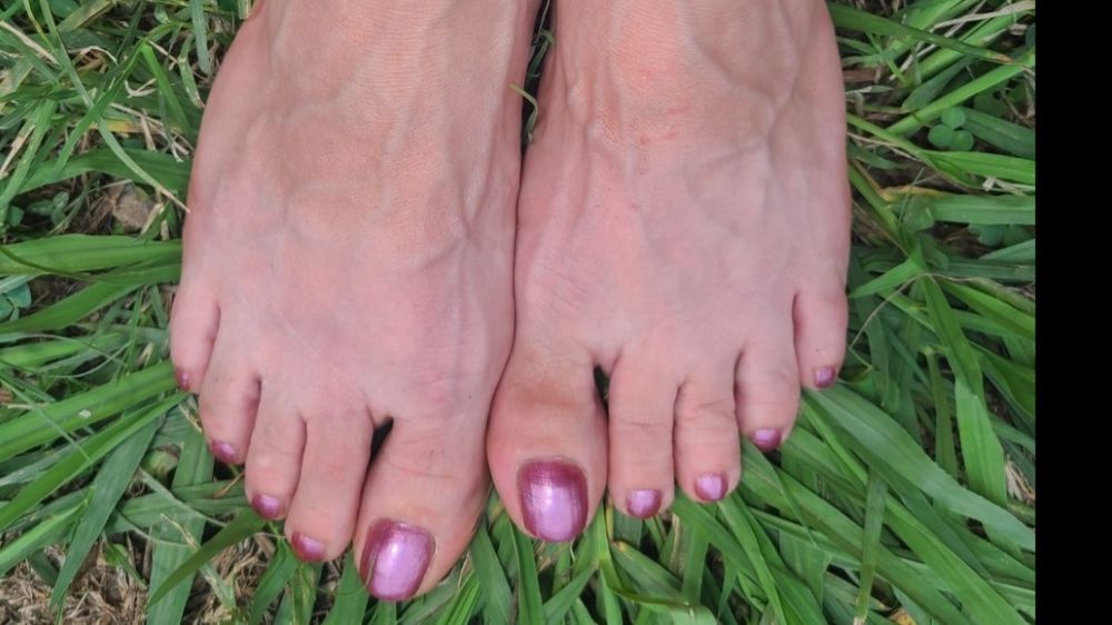 sospecialfeet OnlyFans profile picture