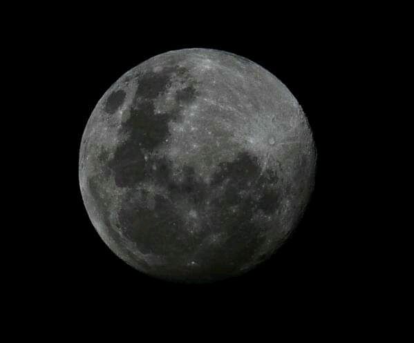 whiskeymoon OnlyFans profile picture