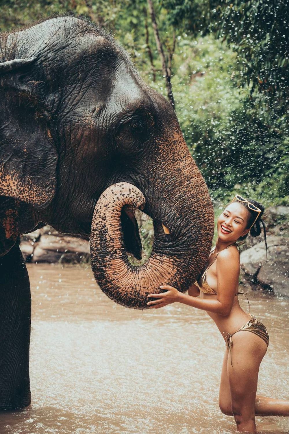 ivypoth OnlyFans profile picture