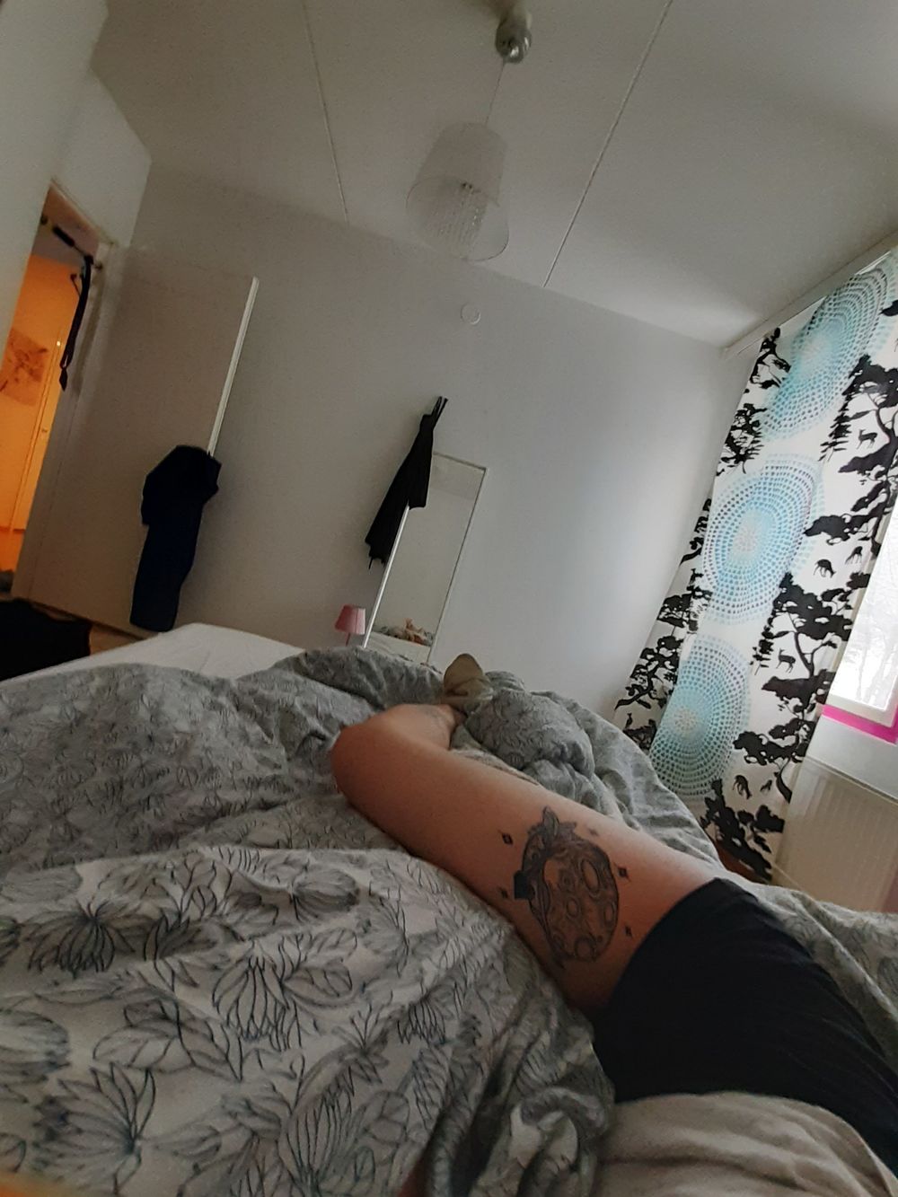 ellusii OnlyFans profile picture