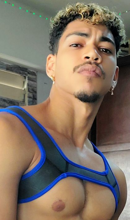cubanfoxxl OnlyFans picture