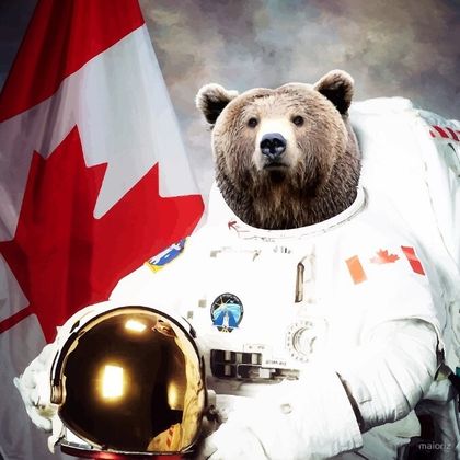 bearsinspace OnlyFans picture