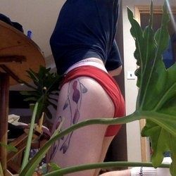 koiiboiixxx OnlyFans picture