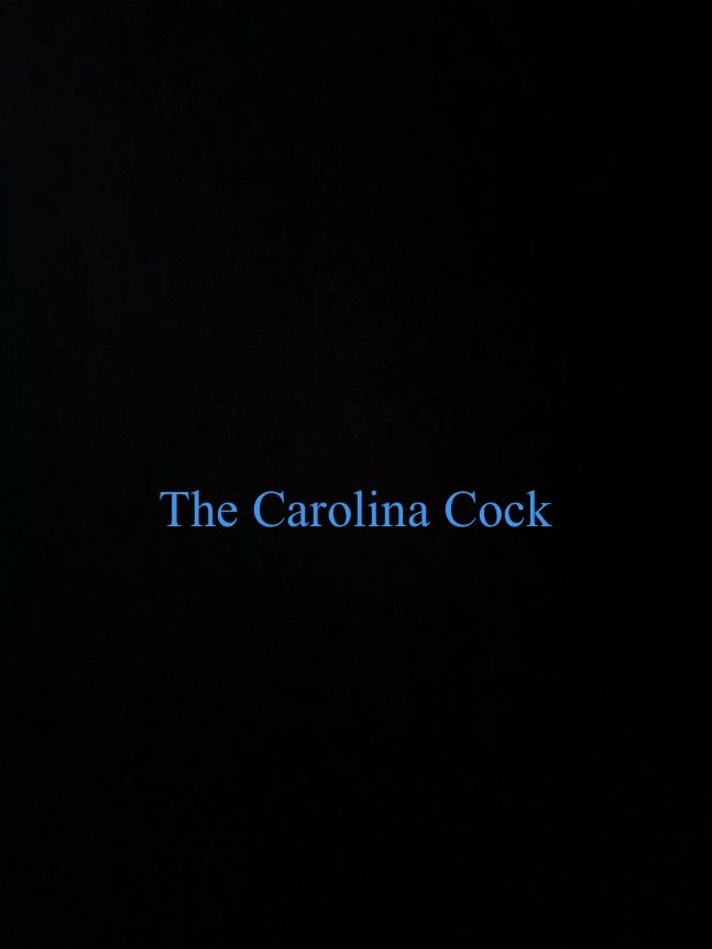thecarolinacock OnlyFans profile picture