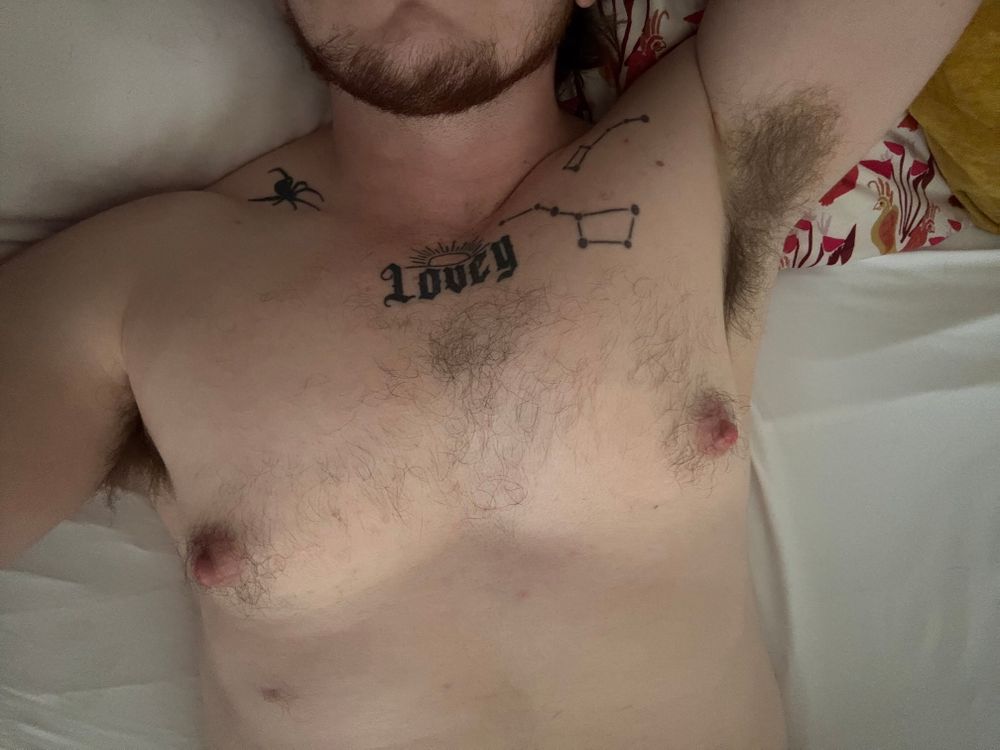 thespencespace OnlyFans profile picture
