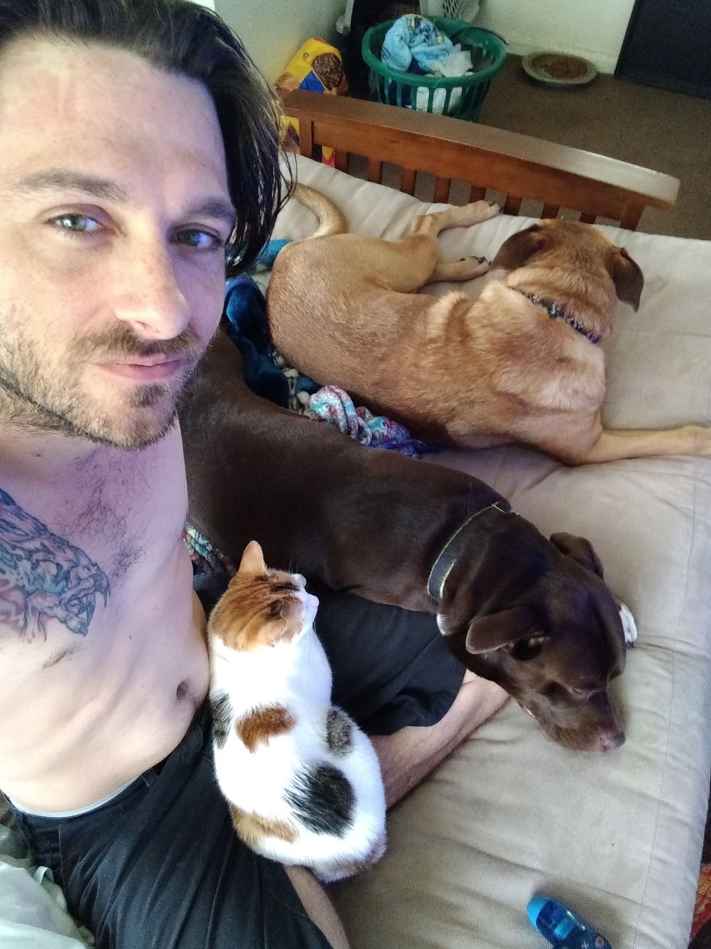mcfly85 OnlyFans profile picture