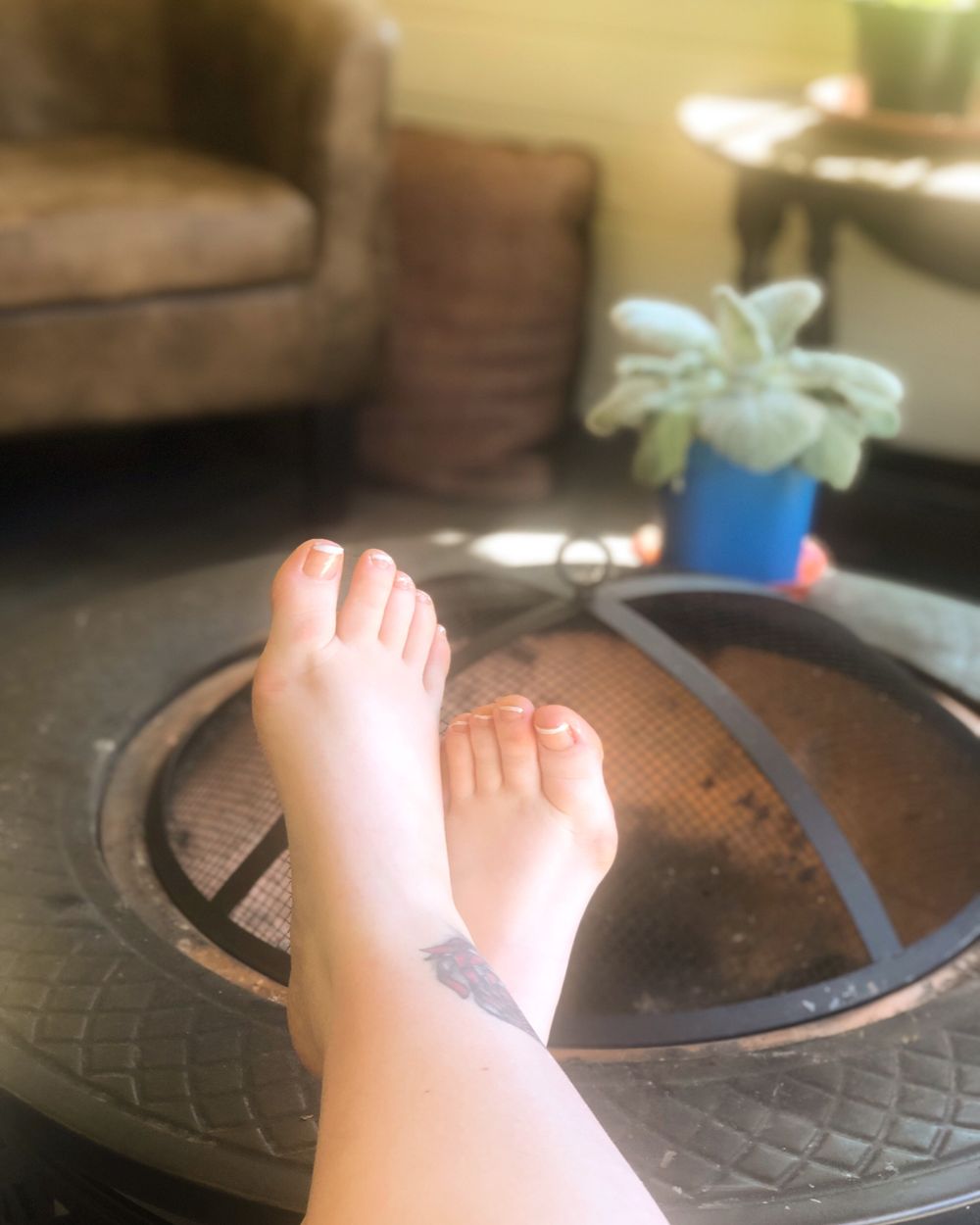 curvysmasher OnlyFans profile picture