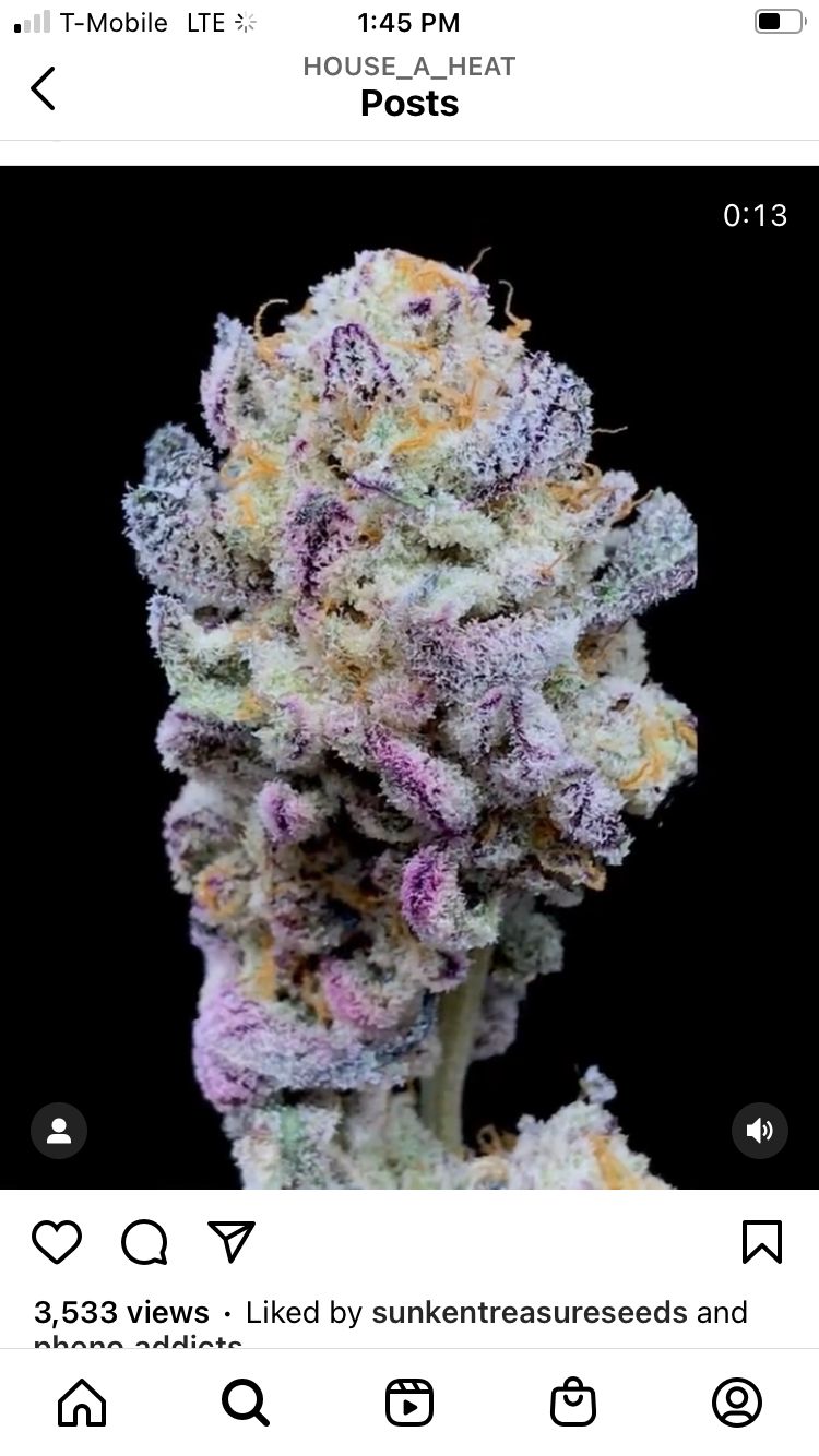 mr.exoticgrow OnlyFans profile picture