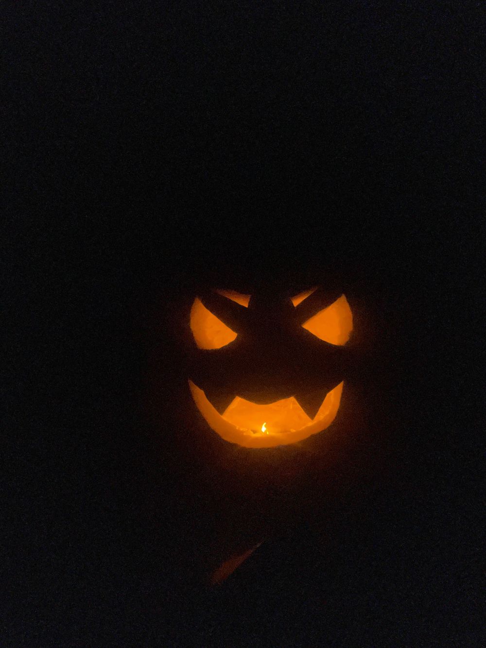 lunaxbat OnlyFans profile picture