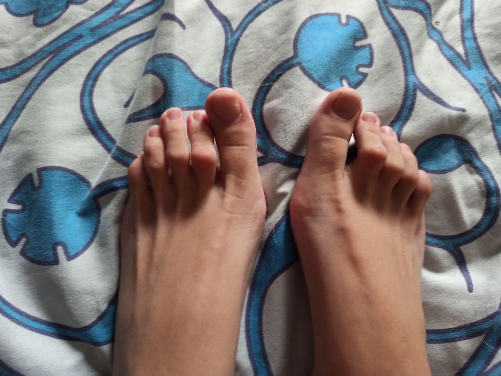 myselfpies OnlyFans profile picture