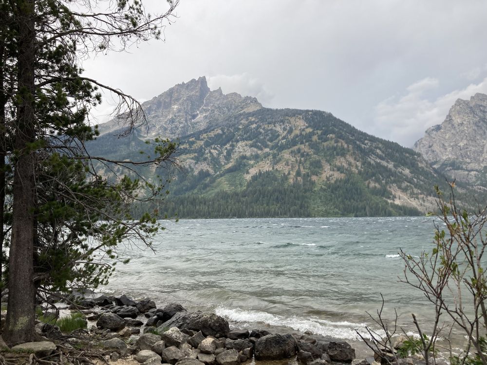 juicy.james OnlyFans - Stats, Graphs, Photos & Profile Comparisons