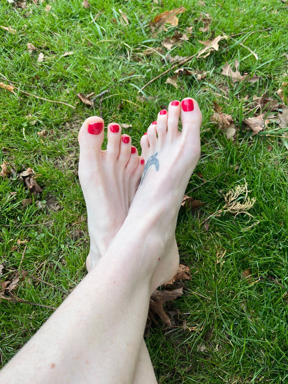littleredtoetruck OnlyFans profile picture