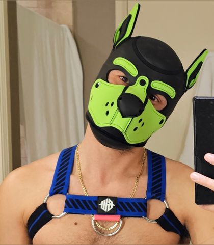 pupboianubis OnlyFans picture