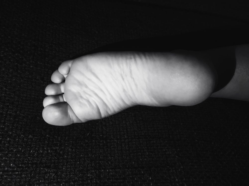 piedenlair OnlyFans profile picture
