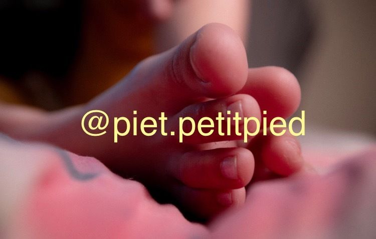 piet.petitpied OnlyFans profile picture