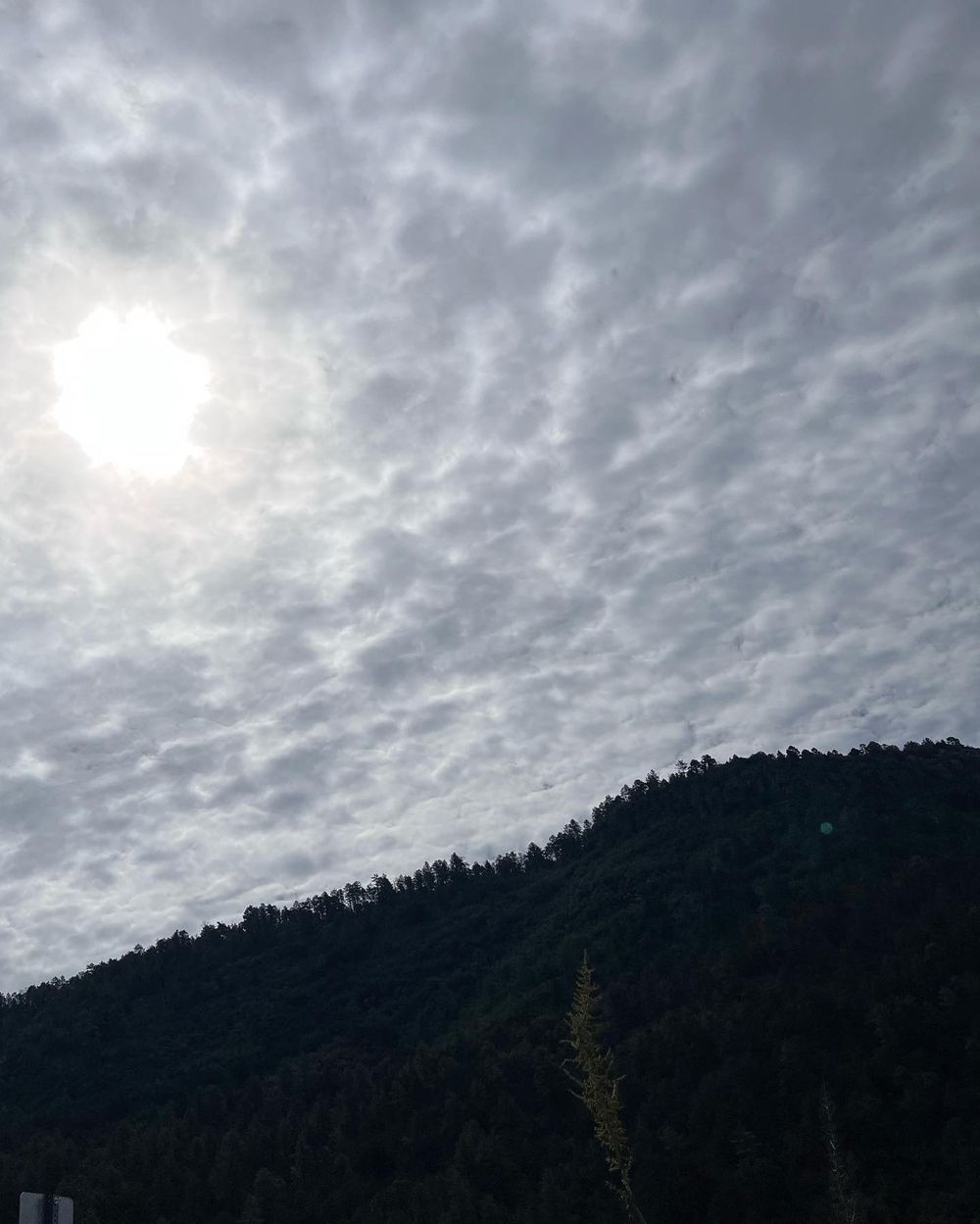 urstruly_08 OnlyFans - Free Trial - Photos - Socials | FansMetrics.com