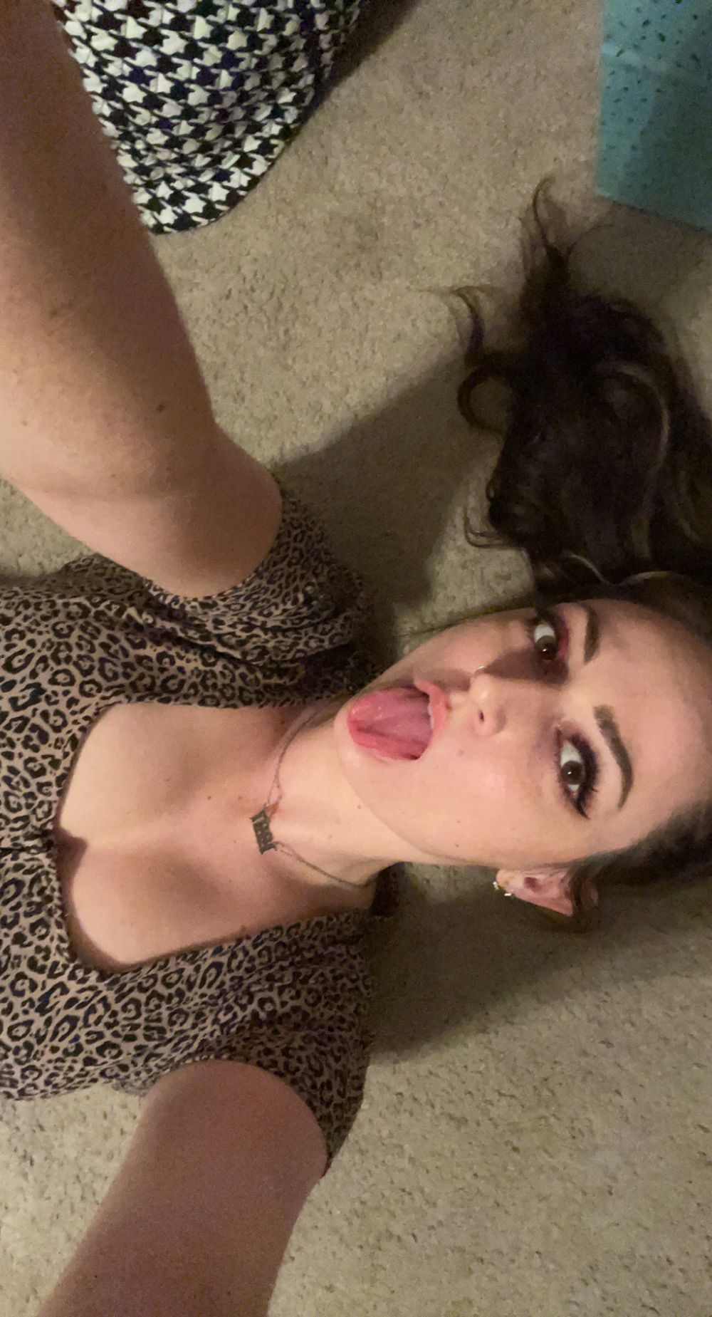 catdealer OnlyFans profile picture