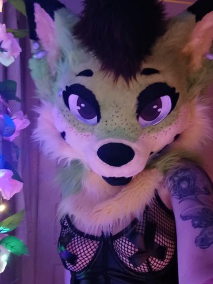 valvifur OnlyFans picture
