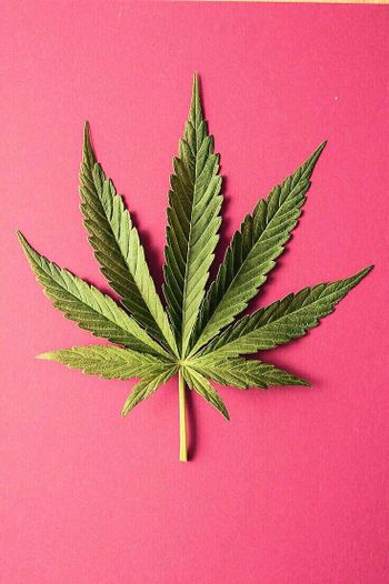 Coffee & Cannabis