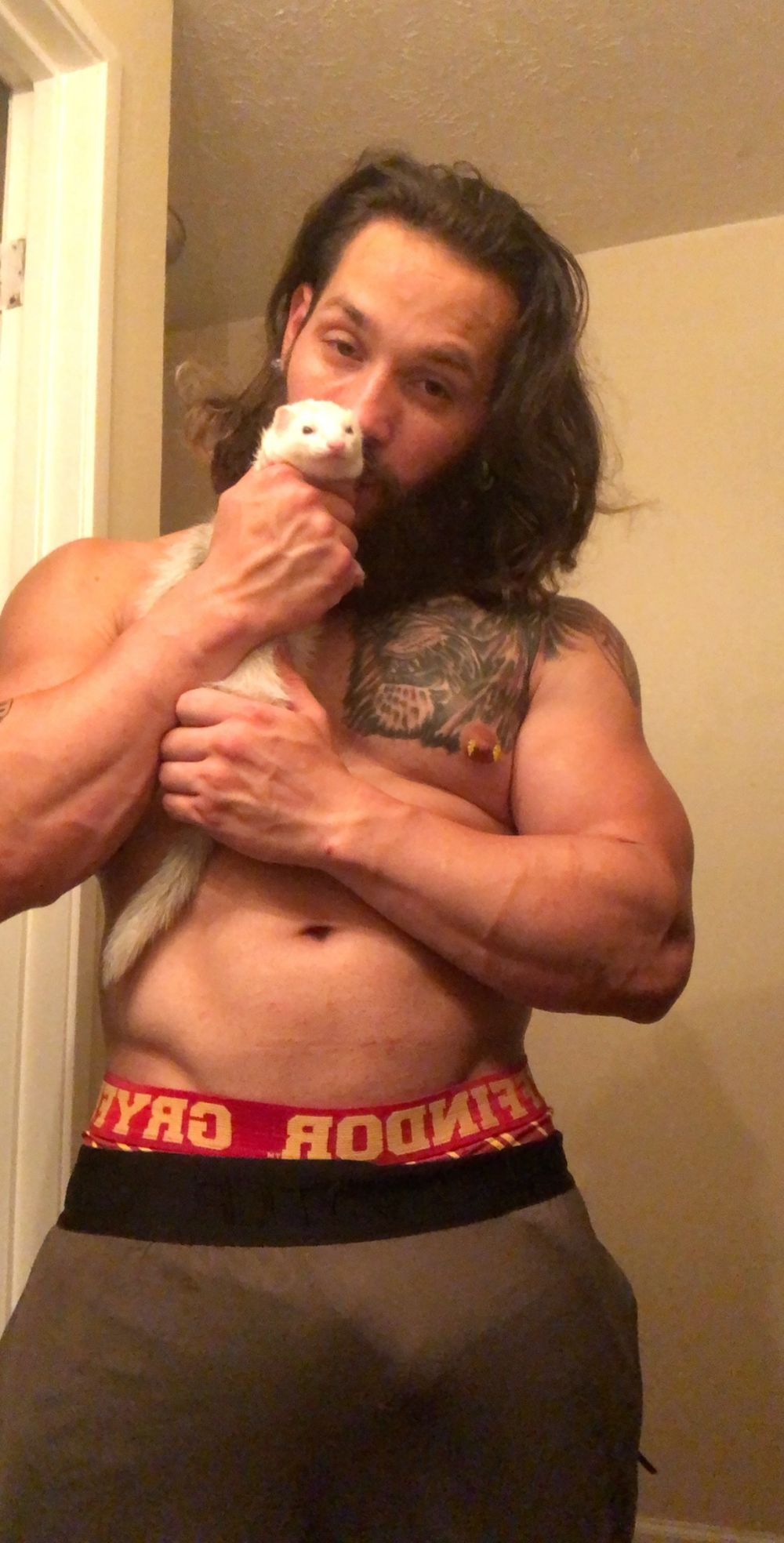 puertoricanlion666 OnlyFans profile picture