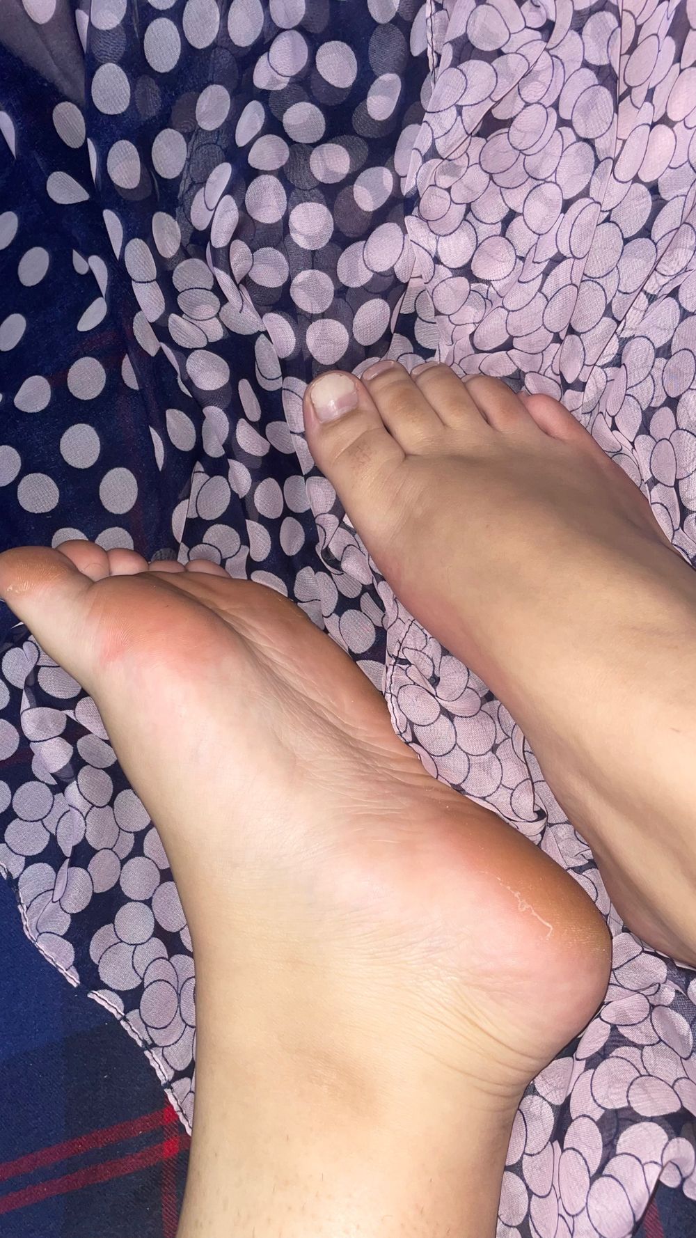 amytuda OnlyFans profile picture