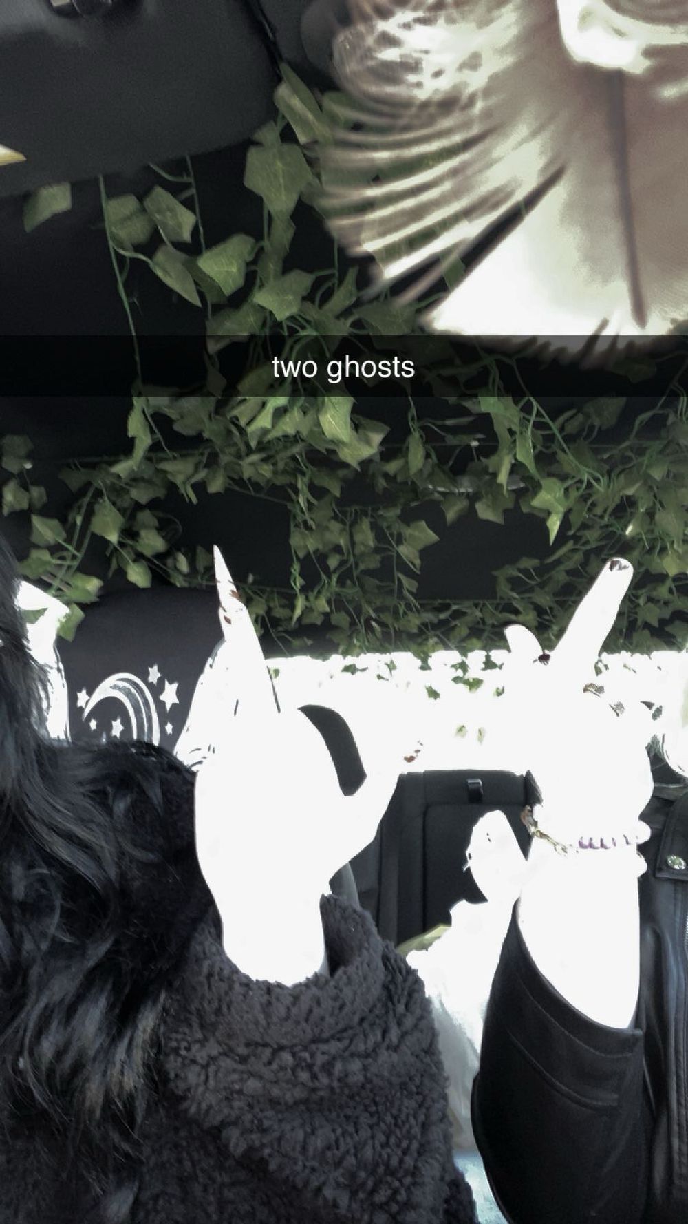 auroraglass OnlyFans profile picture