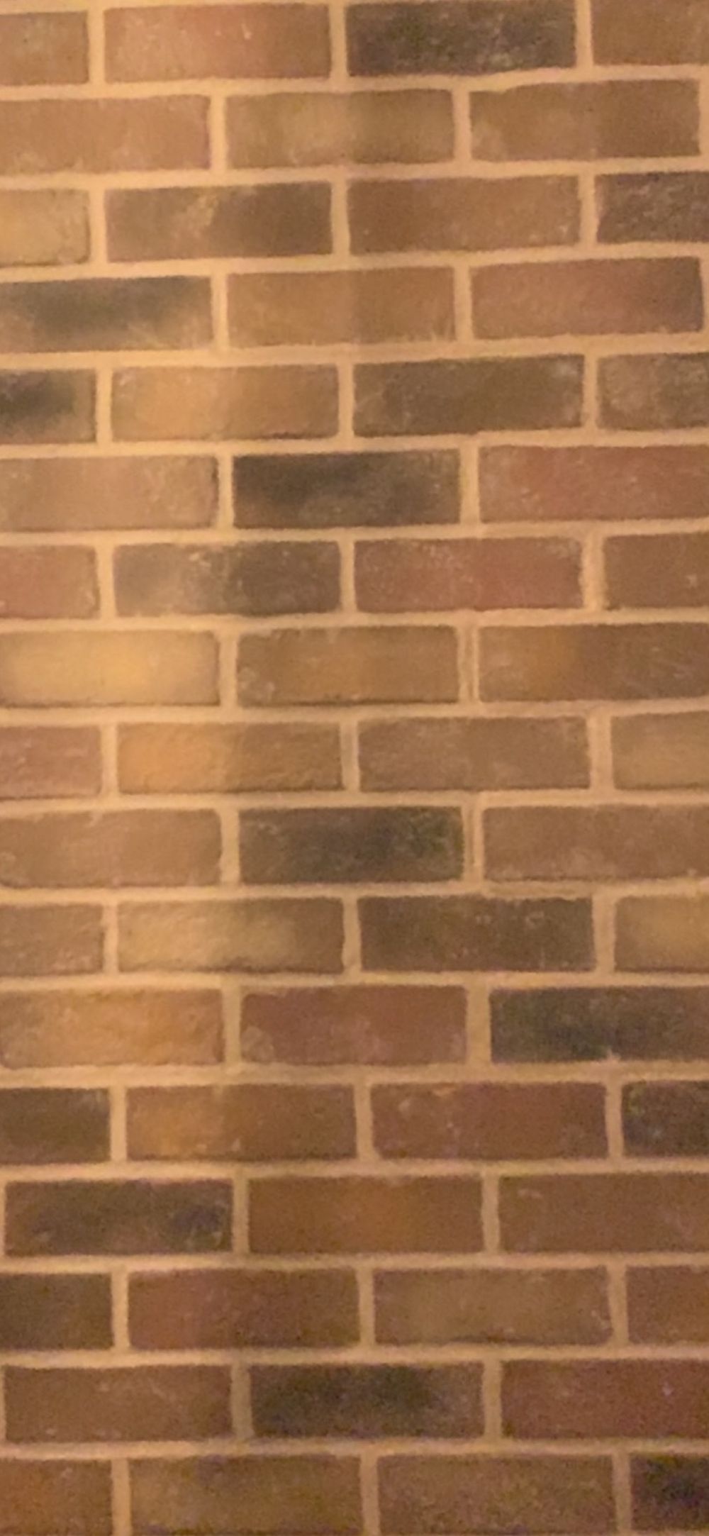 u228799953 OnlyFans profile picture