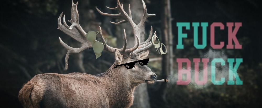 fxxkbuck OnlyFans profile picture