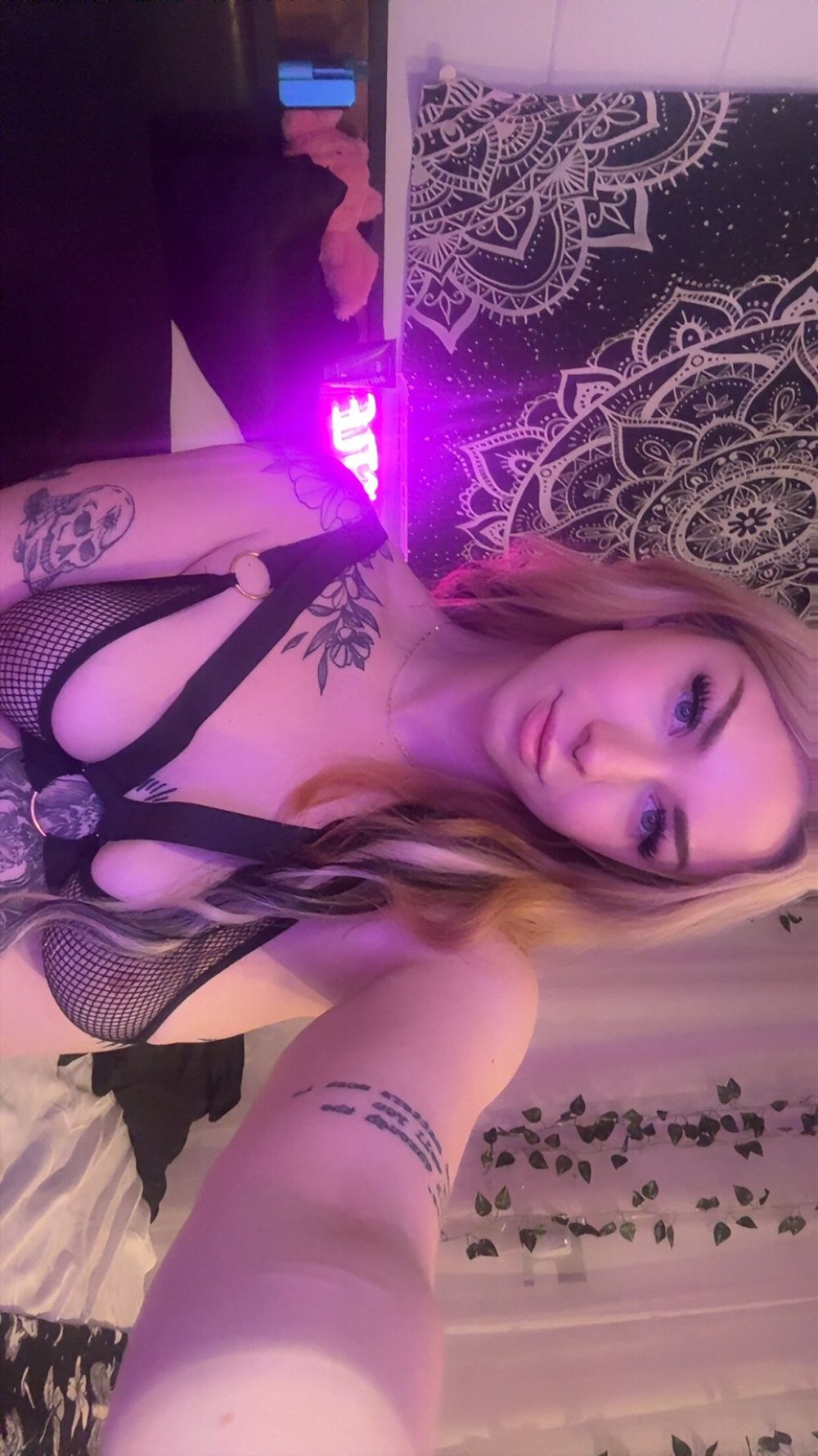 manicpixxxi OnlyFans profile picture