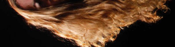 hairy_fae OnlyFans profile picture