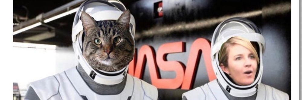 katiemoneygrabs OnlyFans - Stats, Graphs, Photos & Profile Comparisons