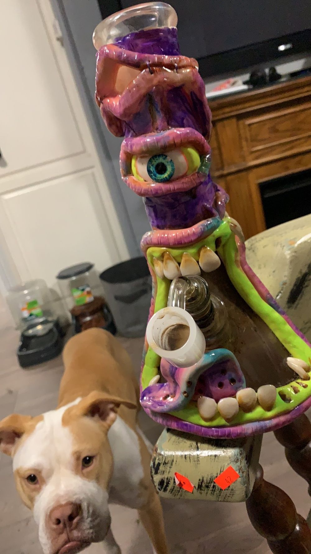 allythegator OnlyFans profile picture