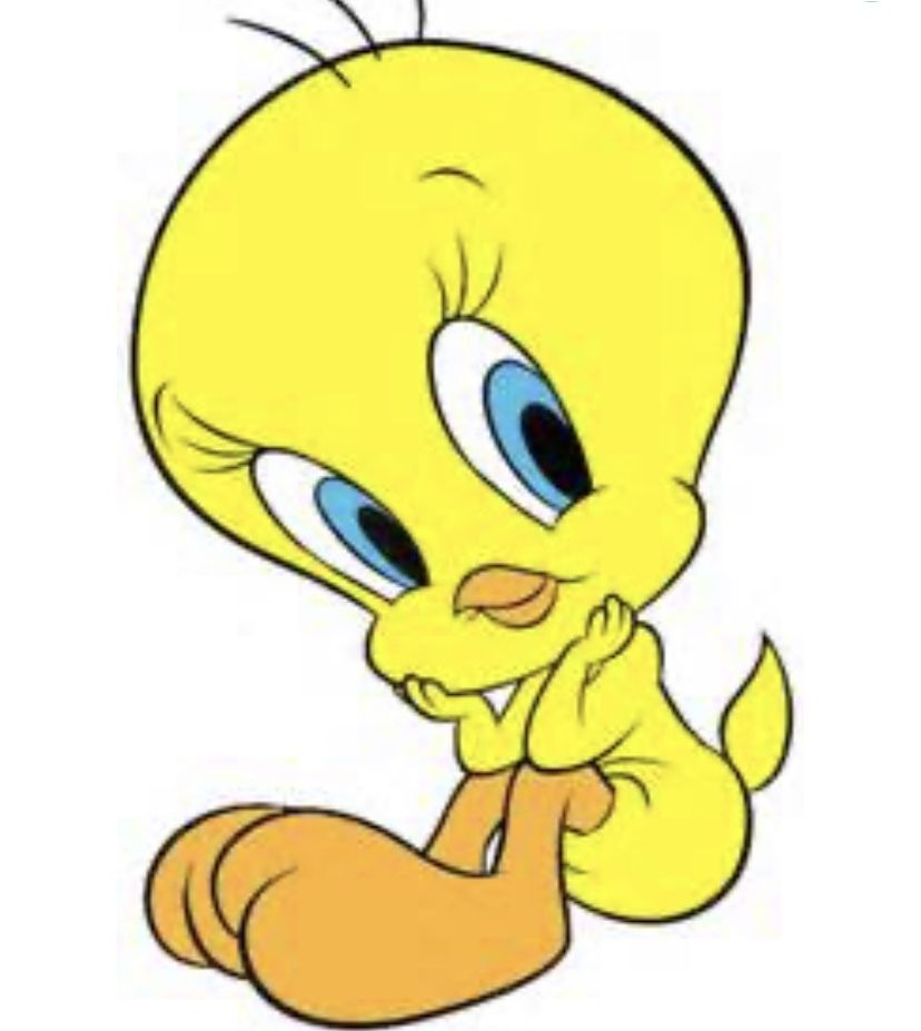 kitten1912 OnlyFans profile picture