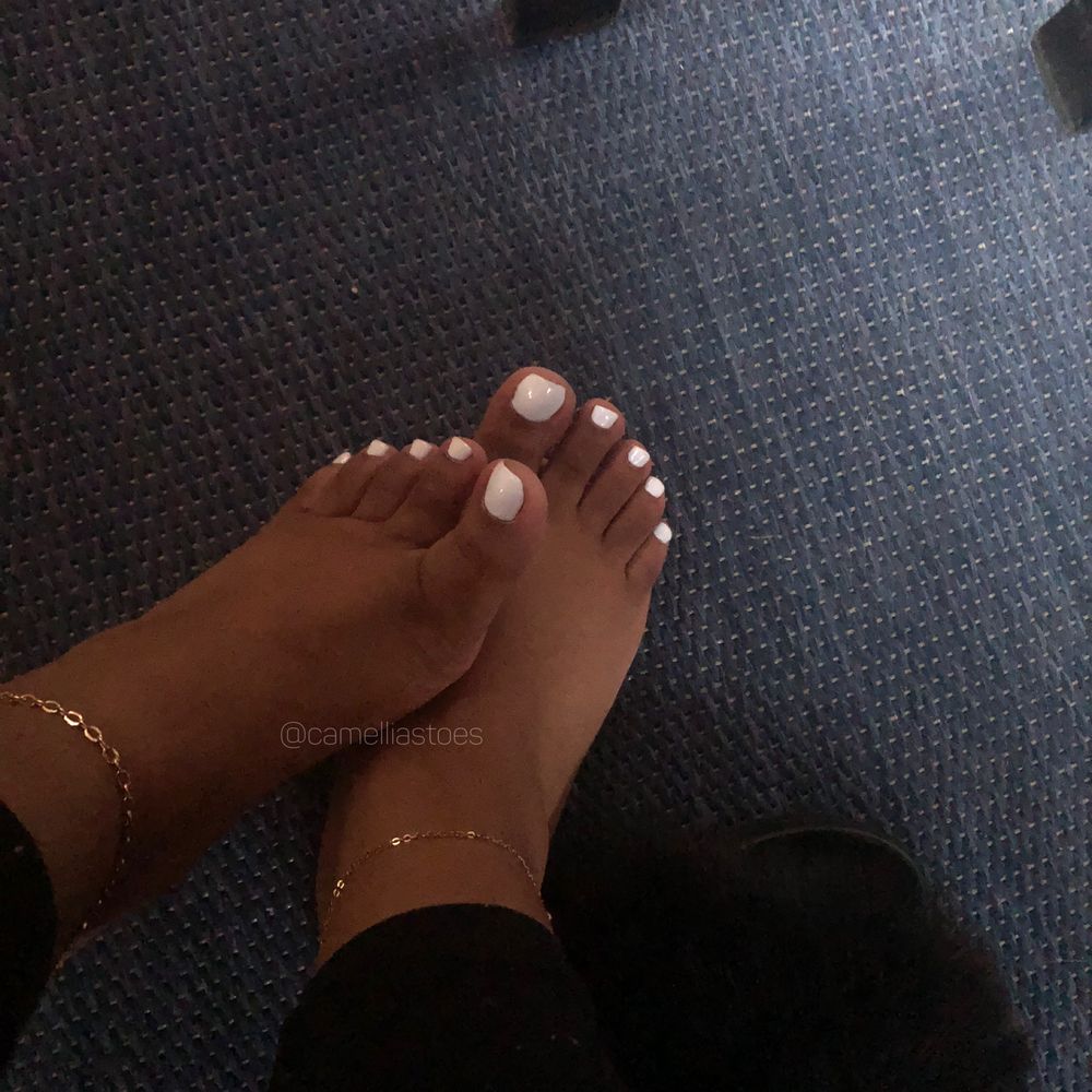 camelliastoes OnlyFans profile picture