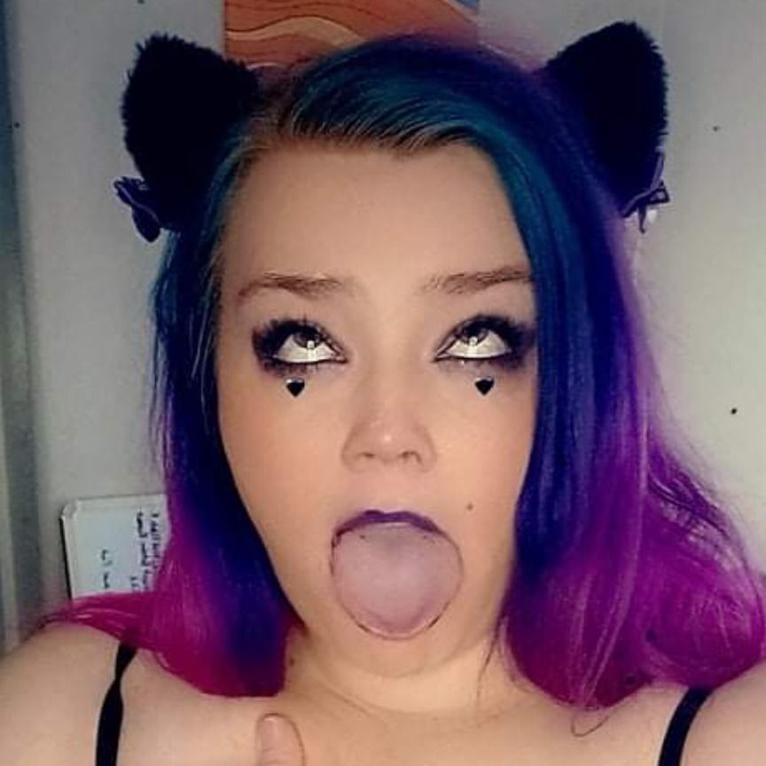 kittensofcuriosity OnlyFans profile picture