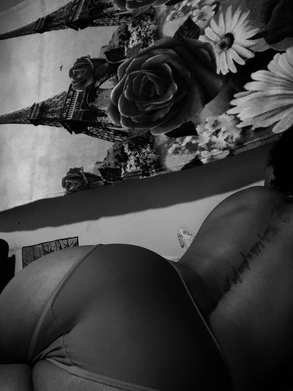 u337688604 OnlyFans profile picture