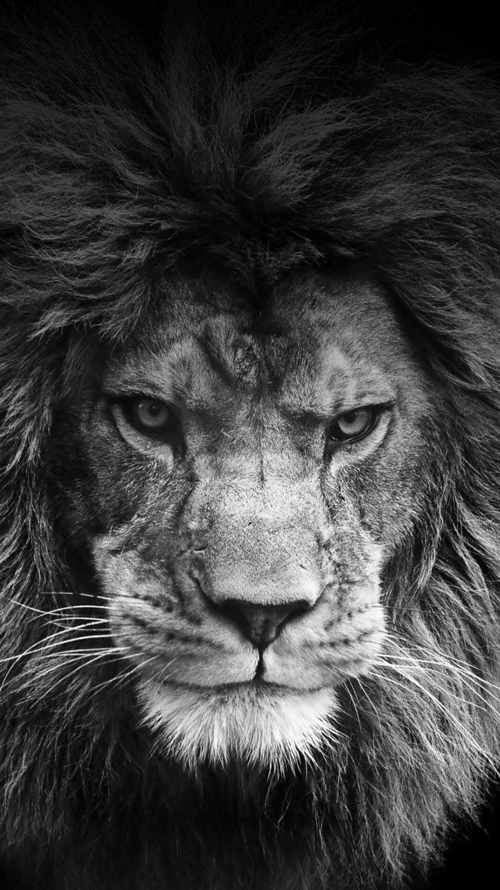 mr.n205 OnlyFans profile picture