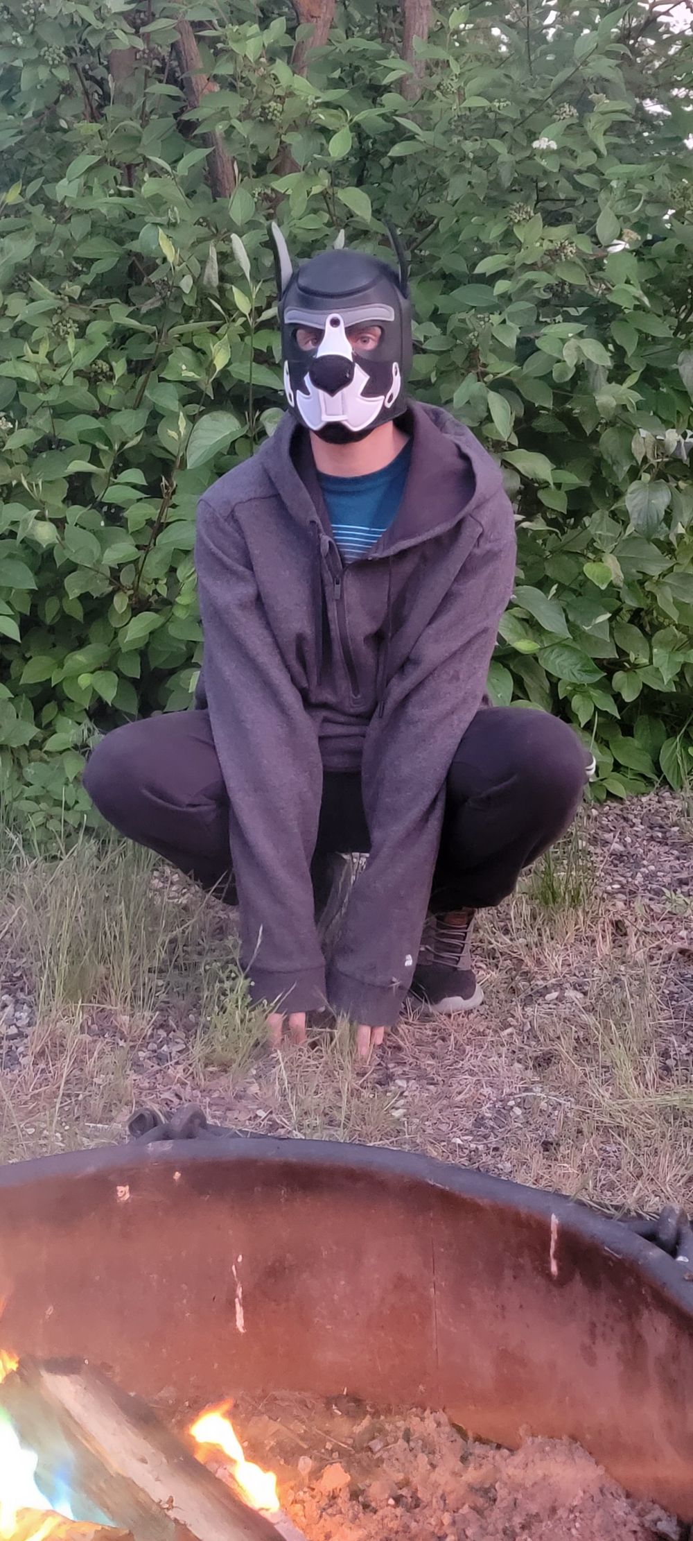 pupowner OnlyFans profile picture