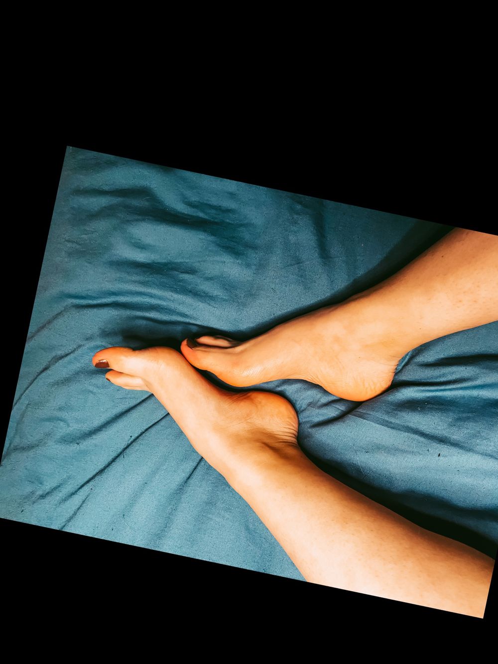 taylortippytoes OnlyFans profile picture