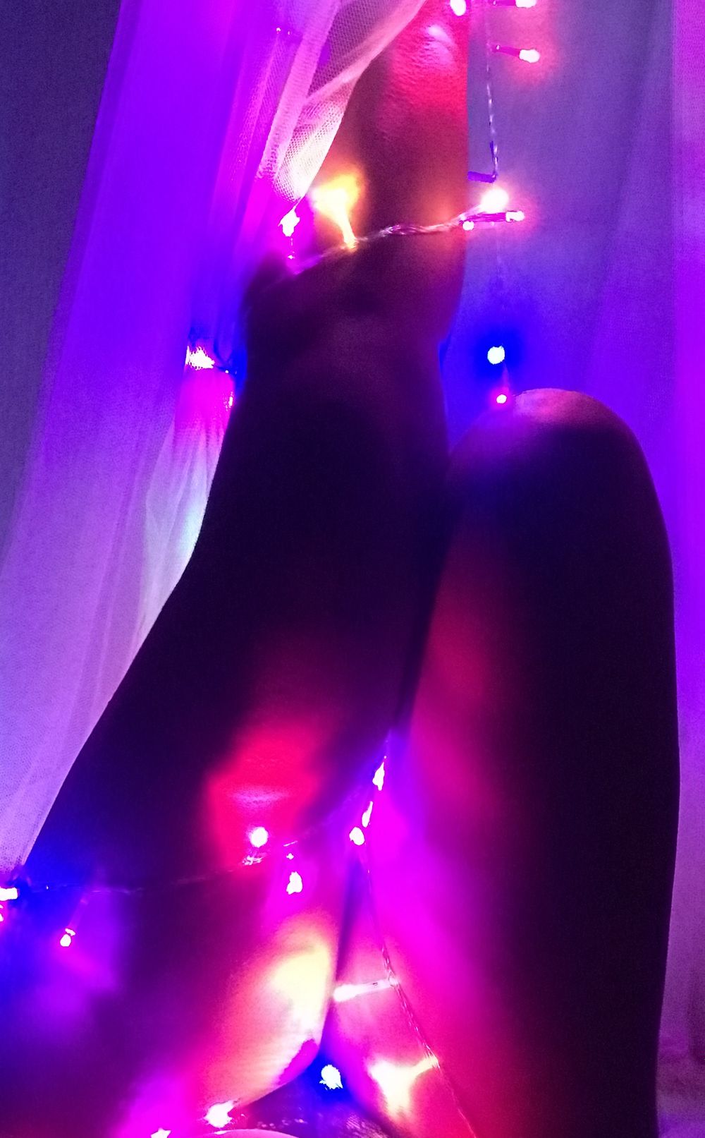 sheyrabit OnlyFans profile picture