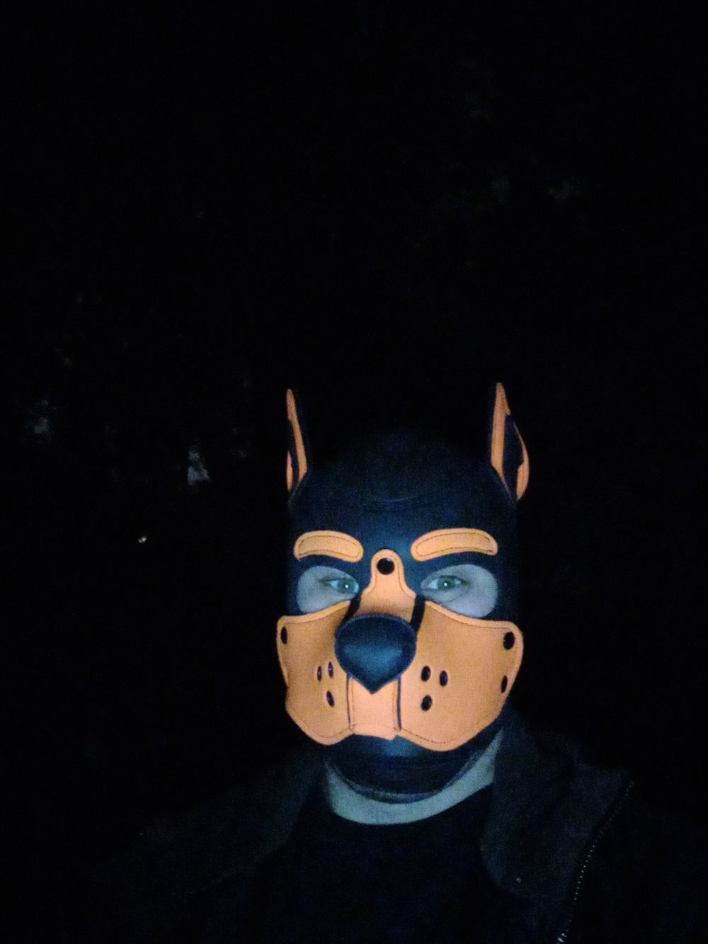 eric992 OnlyFans profile picture