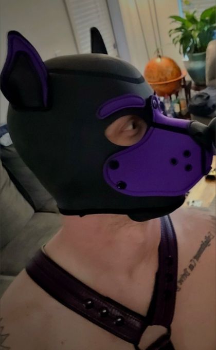 thepuptheta OnlyFans picture