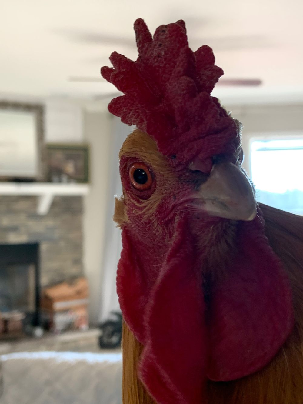 farmhandmaevip OnlyFans profile picture